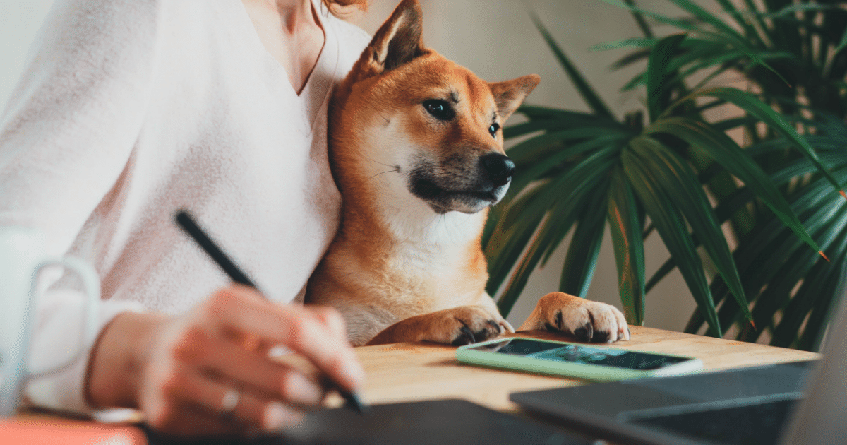 female working with track pad and dog in her lap